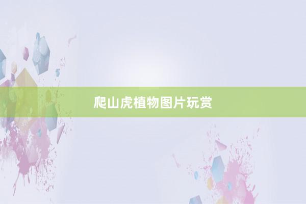 爬山虎植物图片玩赏