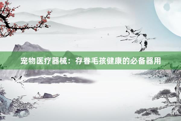宠物医疗器械：存眷毛孩健康的必备器用