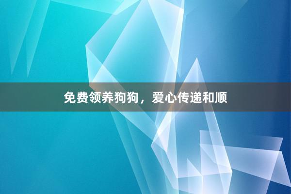 免费领养狗狗，爱心传递和顺