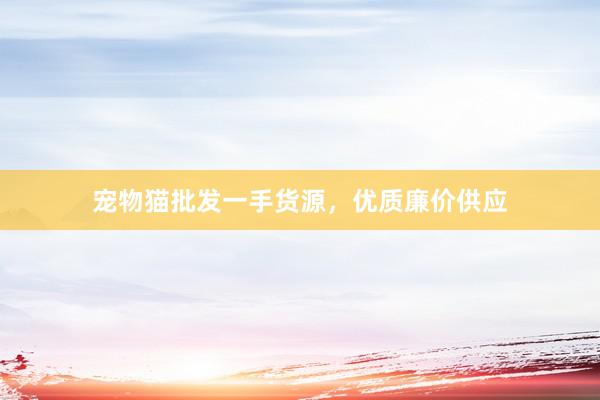 宠物猫批发一手货源，优质廉价供应