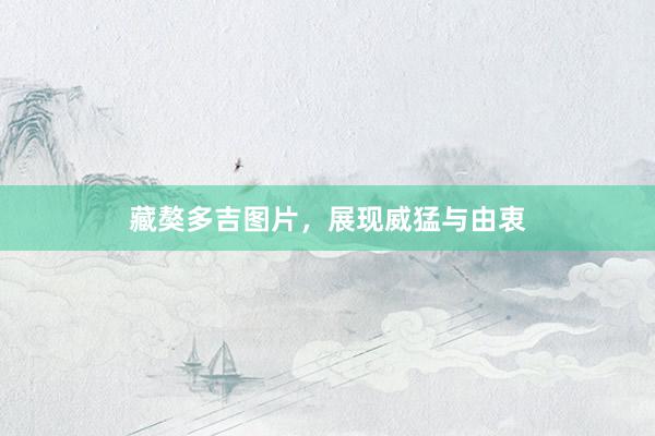 藏獒多吉图片，展现威猛与由衷