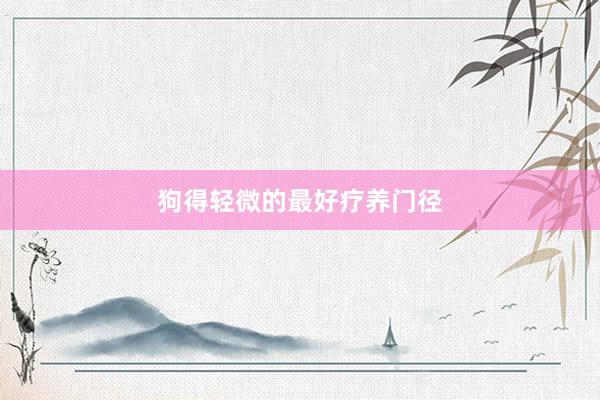 狗得轻微的最好疗养门径