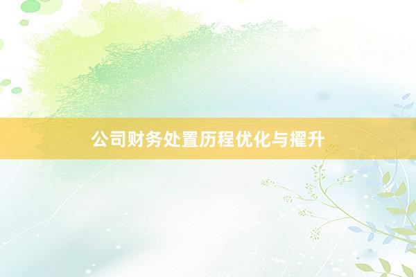 公司财务处置历程优化与擢升