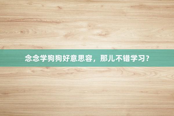 念念学狗狗好意思容,那儿不错学习?